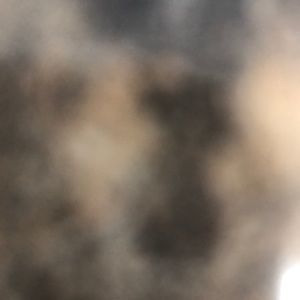 Meet your Posher, Mindi